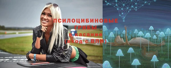 дмт Алзамай