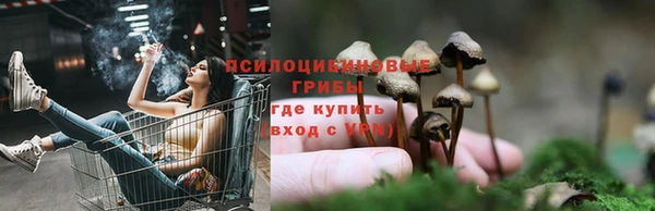 apvp Алексин