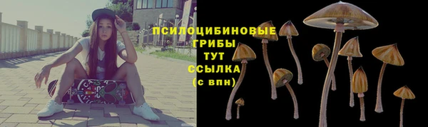 дмт Алзамай