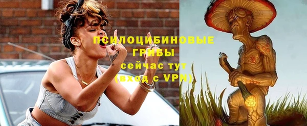 крисы Алексеевка