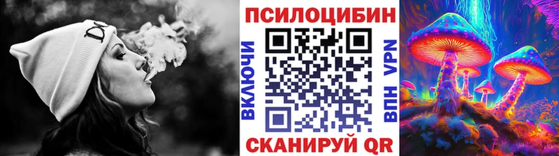 Галлюциногенные грибы Psilocybine cubensis  Красково 